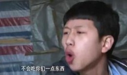 吉林王境泽爆料事件视频,揭秘背后真相与争议