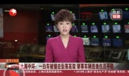 上海东方卫视在线直播观看,上海东方卫视带你领略精彩瞬间