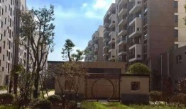 成都房姐最新爆料视频,揭秘豪宅背后的惊人真相