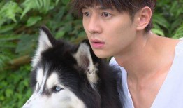 灰太狼播放器在线观看