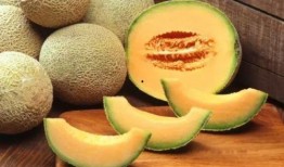 请吃哈密瓜视频免费观看